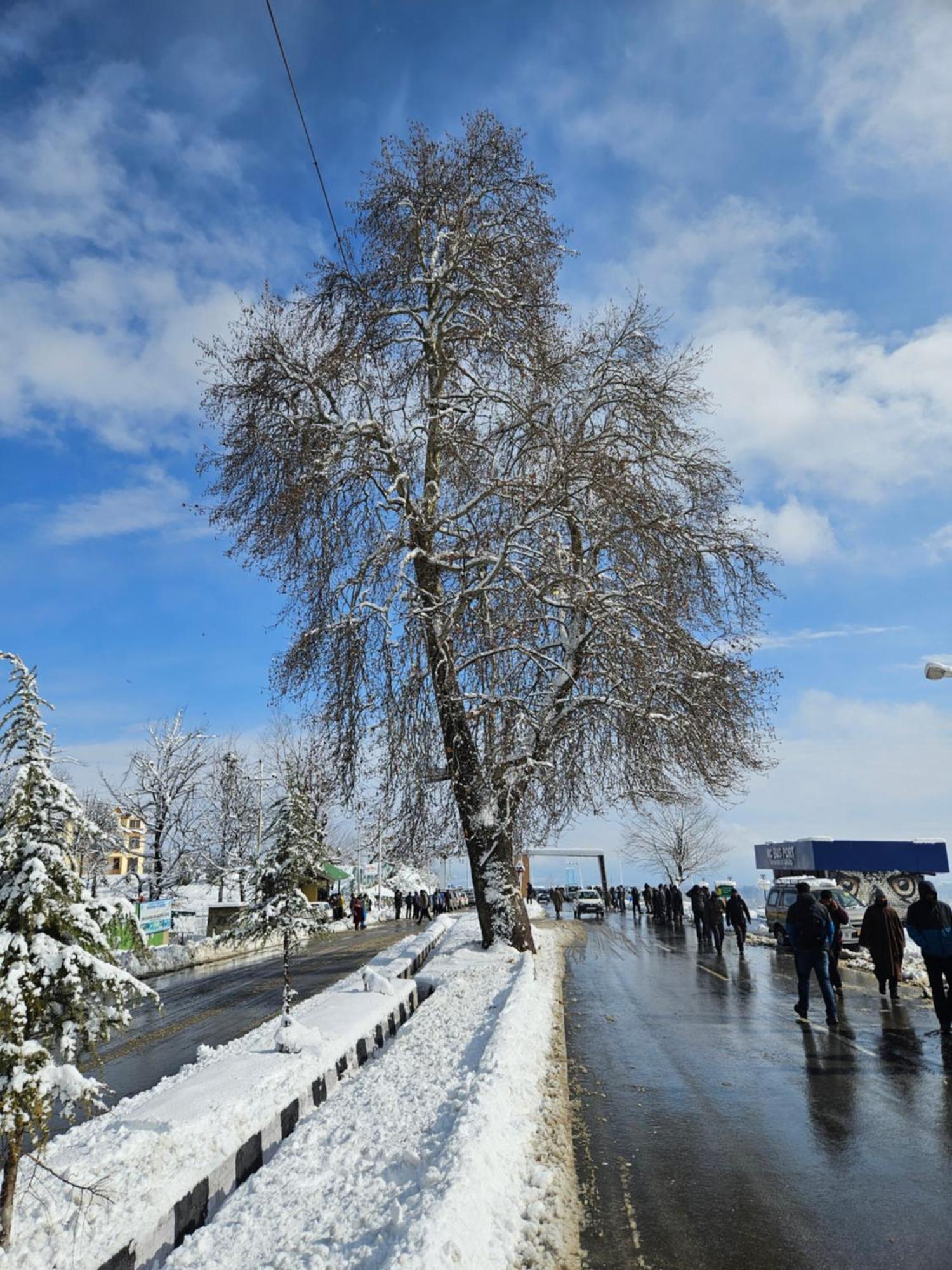 Everest Guest House Gulmarg Esterno foto